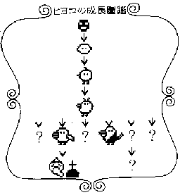 �q�l��������Ų